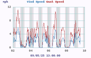 wind graph