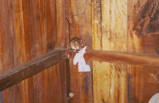 2003-07-25-manu_oscar