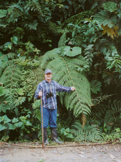 2003-07-26-charley_leaf