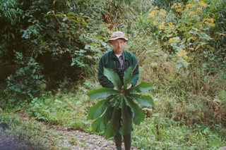 2003-07-26-greg_leaf