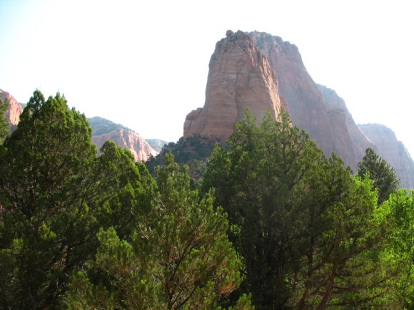 zion_4_taylor_creek_047