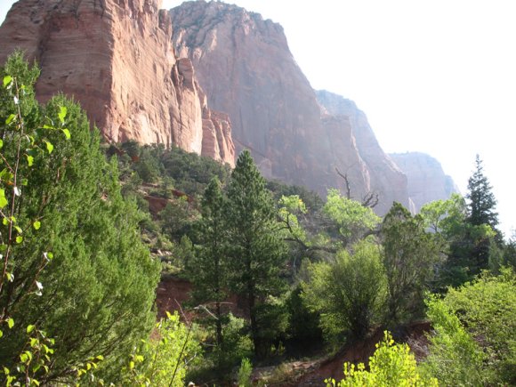 zion_4_taylor_creek_048