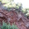 zion_4_taylor_creek_049