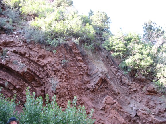 zion_4_taylor_creek_049