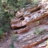 zion_4_taylor_creek_052