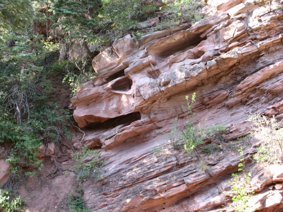 zion_4_taylor_creek_052