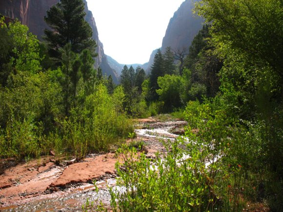 zion_4_taylor_creek_054