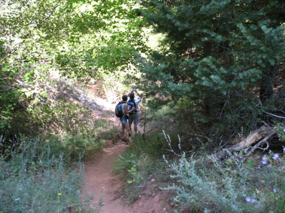 zion_4_taylor_creek_082