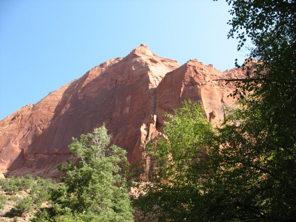 zion_4_taylor_creek_092