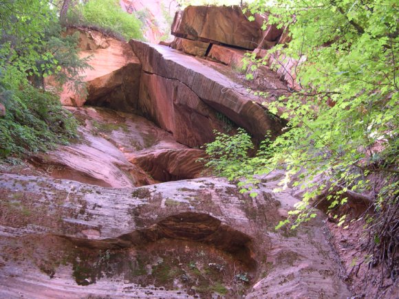 zion_4_taylor_creek_095