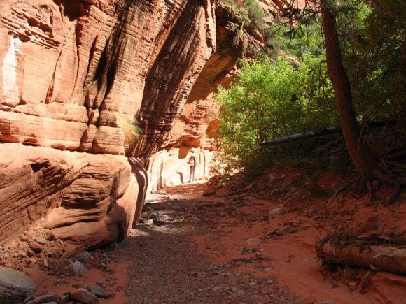zion_4_taylor_creek_099