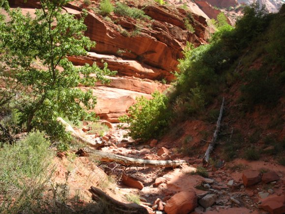 zion_4_taylor_creek_100
