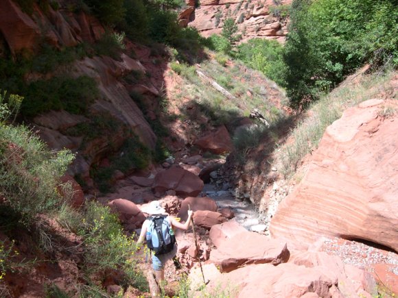 zion_4_taylor_creek_130