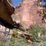 zion_6_emerald_pools_040