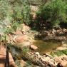 zion_6_emerald_pools_050