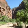 zion_7_riverside_walk_001