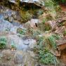 zion_7_riverside_walk_038