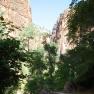 zion_7_riverside_walk_042