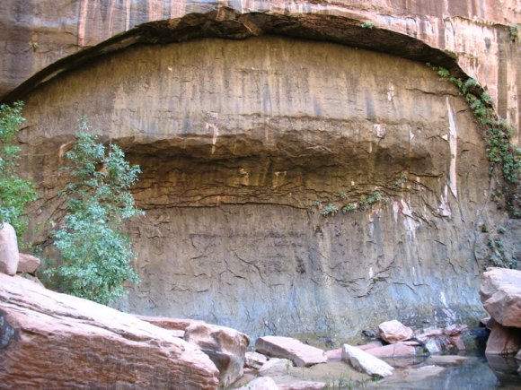 zion_7_riverside_walk_044