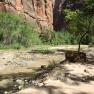 zion_7_riverside_walk_055