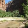 zion_7_riverside_walk_090