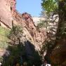zion_7_riverside_walk_100