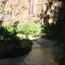 zion_7_riverside_walk_110
