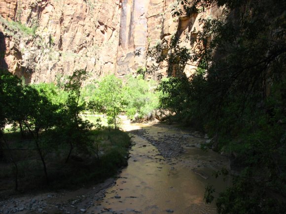 zion_7_riverside_walk_110