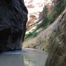 zion_7_riverside_walk_170