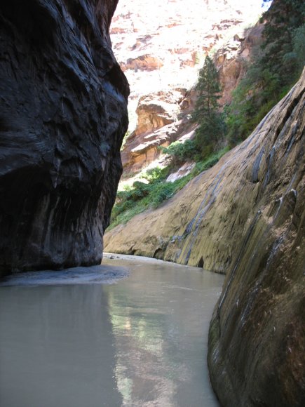 zion_7_riverside_walk_170