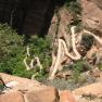 zion_8_Angels_Landing_042