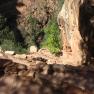 zion_8_Angels_Landing_072