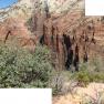 zion_8_Angels_Landing_105