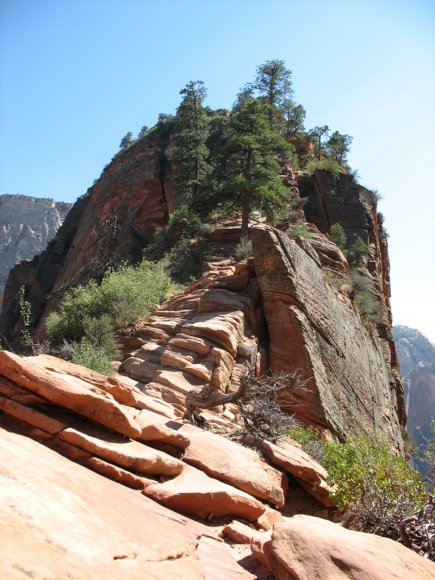 zion_8_Angels_Landing_117