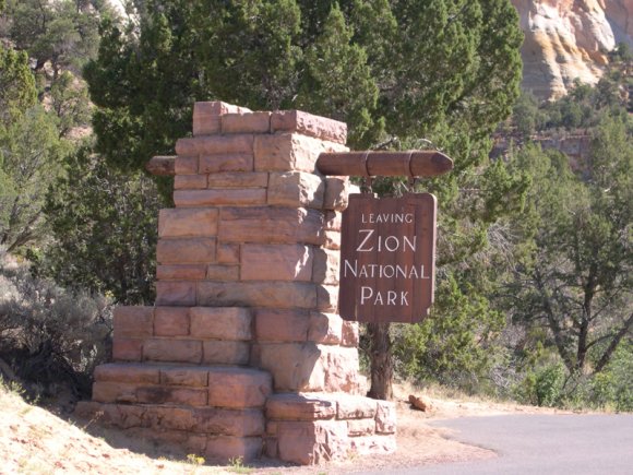zion_zzzz