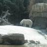 Day 5 SD Zoo