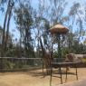 Day 5 SD Zoo